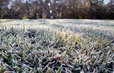 Was there a frost last night - Mar 21, 2022 ... In the weather world, spring got underway March 1, and yesterday was the start of spring by the solar calendar. Another, less-than-official, ...